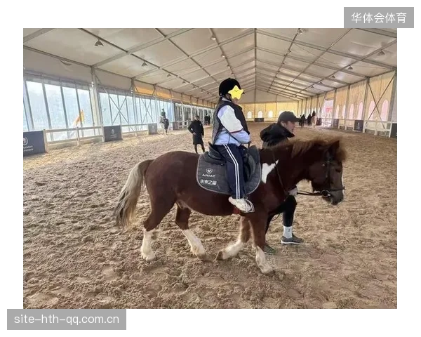 马术疗愈课程被养老院采纳，跨界应用获好评